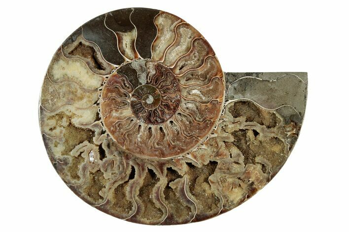 Cut & Polished Ammonite Fossil (Half) - Deep Crystal Pockets #342129